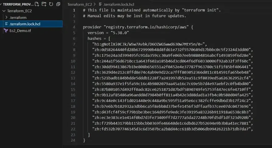 Exemple de fichier .terraform.lock.hcl